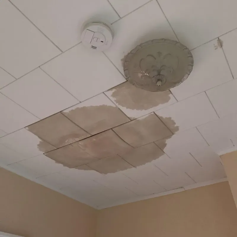 Ceiling Water Damage Repair in Salineville, OH