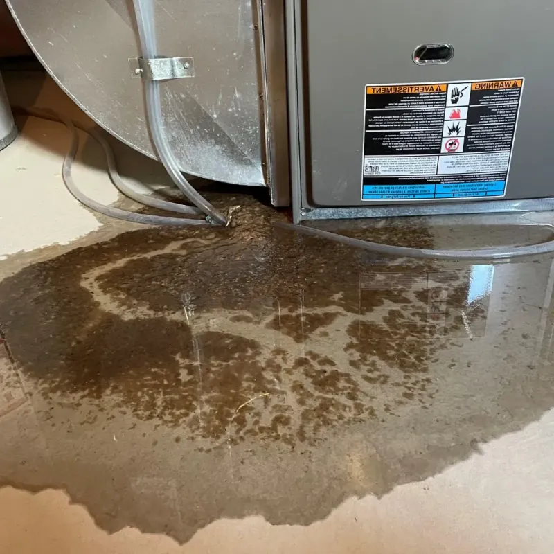 Pipe Burst and Leak Restoration in Salineville, OH