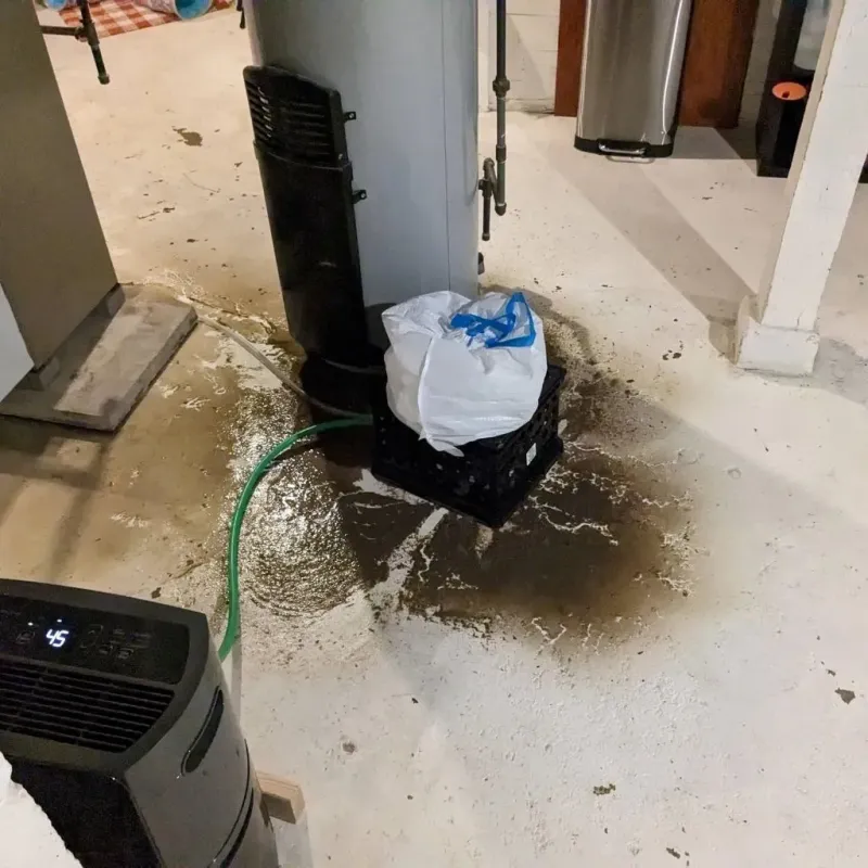 Sewage Backup Cleanup Service in Salineville, OH